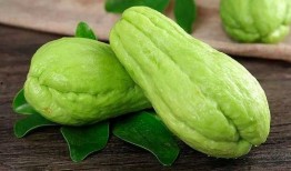 吃瓜祁可爱,揭秘娱乐圈的甜蜜瓜田